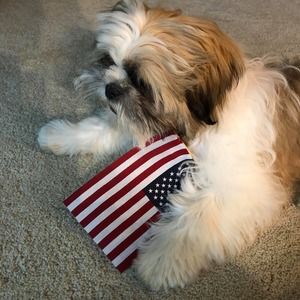 Meet your Posher, Phyllis